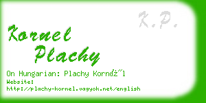 kornel plachy business card